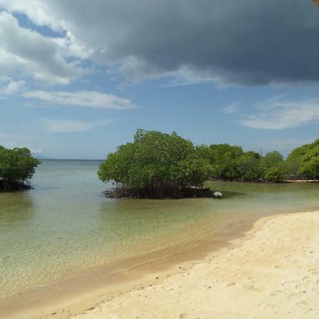 Mangrove Paradise Retreat Nusa Lembongan  Ngoại thất bức ảnh