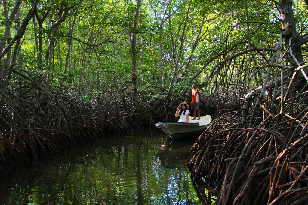 Mangrove Paradise Retreat Nusa Lembongan  Ngoại thất bức ảnh